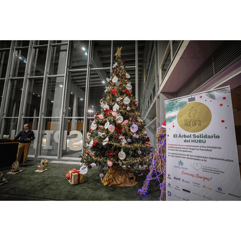 0004_2023dic_ArbolsolidarioHUBU-1-min-min